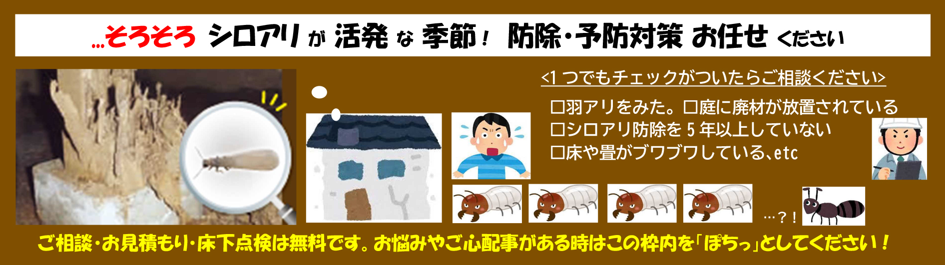 そろそろシロアリが活発な季節