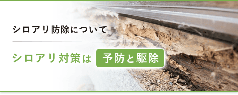 シロアリ防除について シロアリ対策は予防と駆除