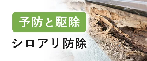 シロアリ防除